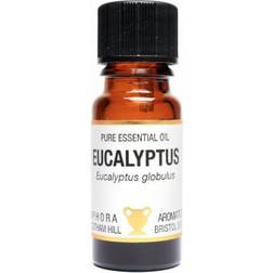 Amphora Aromatics Essential Oil Eucalyptus 10ml