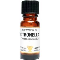 Amphora Aromatics Essential Oil Citronella 10ml