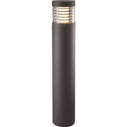 Malmbergs Asti Pollare 65cm