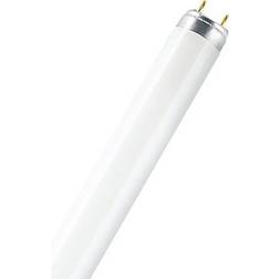 LEDVANCE Osram Fluorescentiebuis Lumilux T8 Warm Wit G13 58w