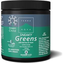 Terra Nova Green Child Sneaky Greens 180g