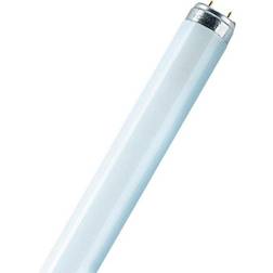 LEDVANCE L Fluorescent Lamp 18W G13 880