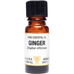 Amphora Aromatics Essential Oil Ginger 10ml