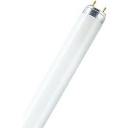 LEDVANCE L Fluorescent Lamp 58W G13 880