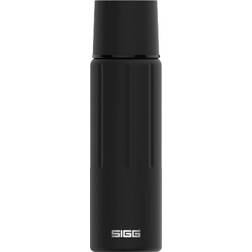 Sigg Gemstone IBT