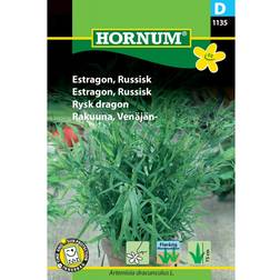 Hornum Estragon Russisk (1135) Frø