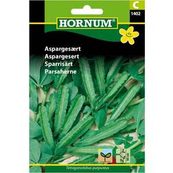 Hornum Lotus Maritimus