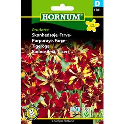 Hornum Beauty Eye