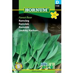 Hornum Wild Garlic