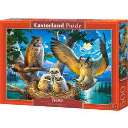 Castorland Owl Family 500 Pieces