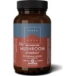 Terra Nova Mushroom Synergy 50pcs 50 st