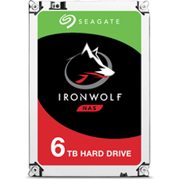 Seagate IronWolf 6 TB