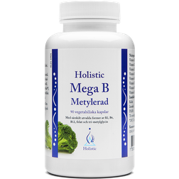 Holistic Mega B Metylerad 90 st