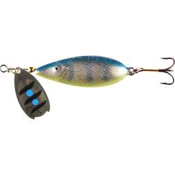Lotto Pro 3.5cm Blue Roach