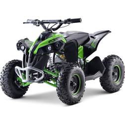 ATV Renegade 1060W