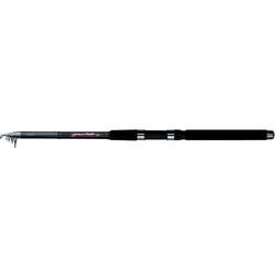 Daiwa Minispin 6' 10-40g