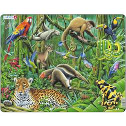 Larsen South American Rainforest 70 Pieces