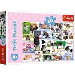 Trefl Cats World 60 Pieces