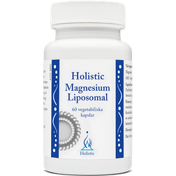 Holistic Magnesium Liposomal 90 st