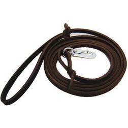 PETCARE Active Canis Leather Leash