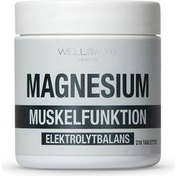 WellAware Magnesium 210 st