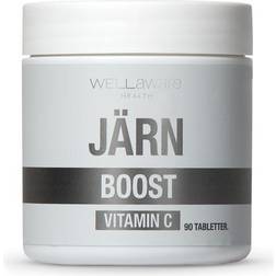 WellAware Järn 90 st