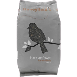 Honeyfields Black Sunflowers
