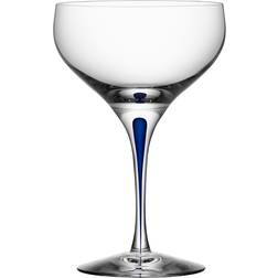 Orrefors Intermezzo Coupe Champagneglass 30cl