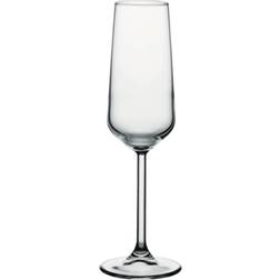 Pasabahce Allegra Champagne Glass 19.5cl 6pcs