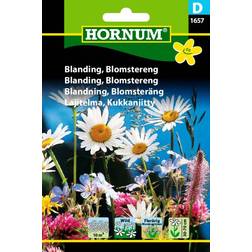 Hornum Blanding Blomstereng (1657)