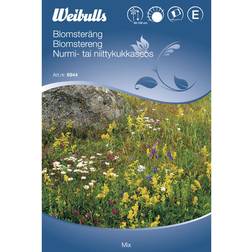 Weibulls Blomsterängsblandn