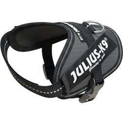 Julius-K9 IDC Powerharness Baby 2