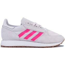 adidas Forest Grove W - Orchid Tint/Shock Pink/Cloud White