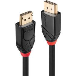 Lindy 41079 DisplayPort-DisplayPort 15m