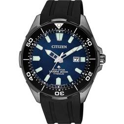 Citizen Eco-Drive (BN0205-10L)