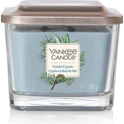 Yankee Candle Coastal Cypress Medium 3 Wick Doftljus 347g