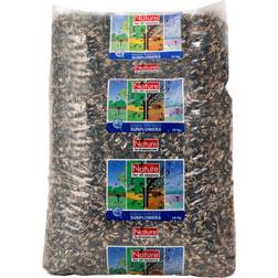 Sunflower Seeds