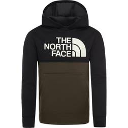 The North Face B Surgent Block Hoodie - New Taupe Green (4937)