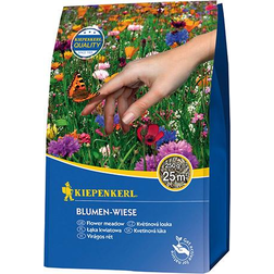 Kiepenkerl Blumen Wiese