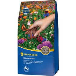 Kiepenkerl Blumen Wiese Blomsterfrø
