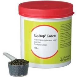 Equitop Gonex 750gm