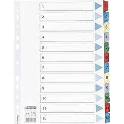 Esselte Register Mylar 1-12 A4