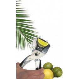 Lemon Juice Press