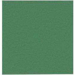 Abena Plates, Cups & Cutlery 1-Layer Green 500-pack