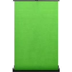 vidaXL Photo Background 127x210cm Green