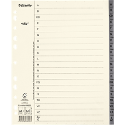 Esselte Register Servo A4