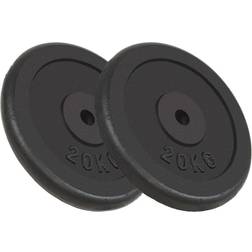 vidaXL Weight Plates 2X20Kg Cast Iron