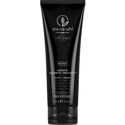 Paul Mitchell Awapuhi Wild Ginger Keratin Intensive Treatment 100ml