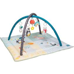 Taf Toys North Pole 4 Seasons Activity Rug