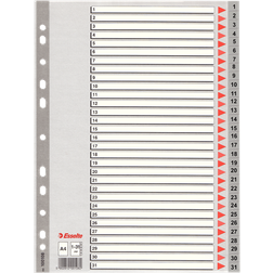 Esselte Index PP A4 1-31